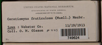 Image Associated With the Occurence